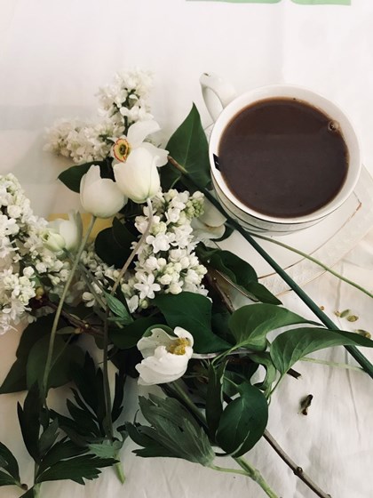 Illustrations: Объявление 