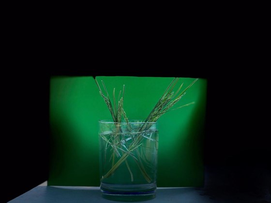 Illustrations: Объявление 